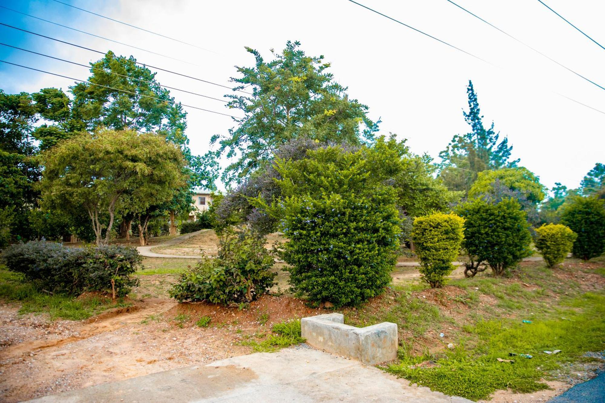 Sanctuary Aparthotel-Ac-Garden- Solar-Wi-Fi -Firepit-Park-Carport ลุซากา ภายนอก รูปภาพ